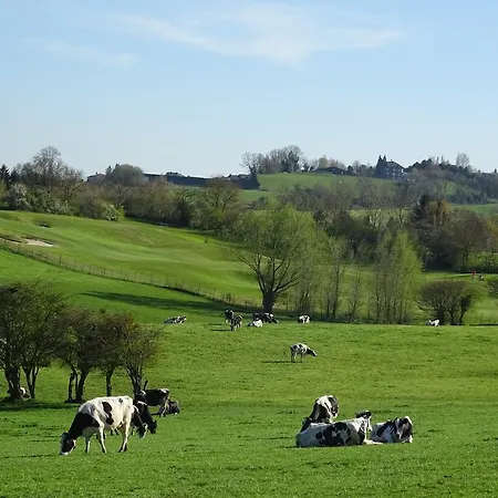 Bed and breakfast Opus35 3*