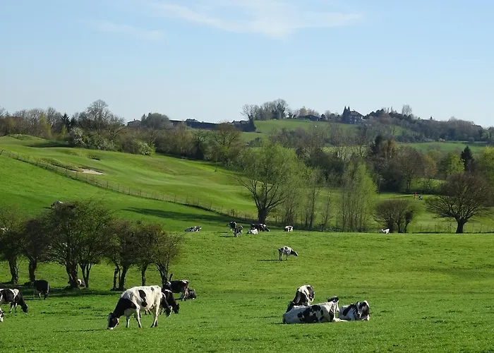 Bed and breakfast Opus35 3*